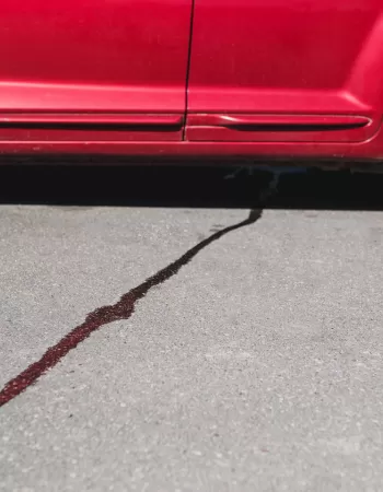 Fluid Leaks 101 Find Out What S Leaking From Your Car In The Garage Fluid Leaks 101 Find Out What S Leaking From Your Car In The Garage