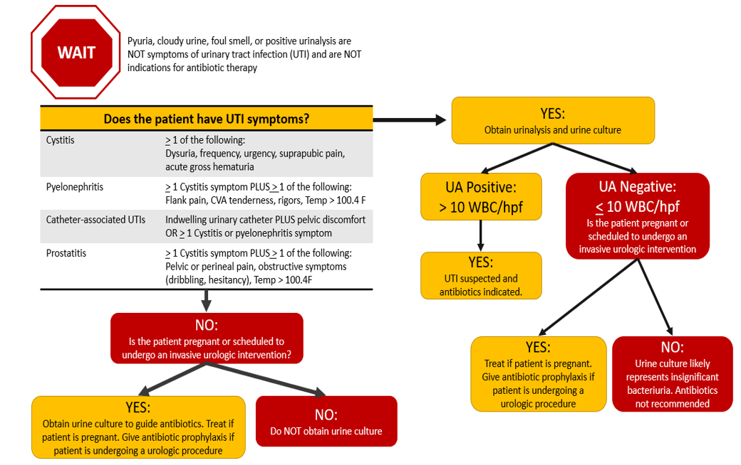 Urinary Tract Infections Uti Treatment And Care Sugar Land Urinary Tract Infections Uti Treatment And Care Sugar Land